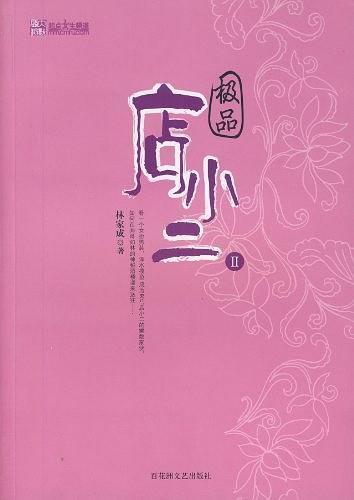 极品店小二