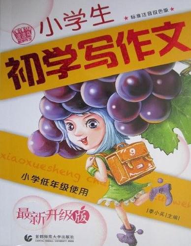 小学生初学写作文