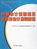 内部会计控制规范和具体会计准则教程-买卖二手书,就上旧书街