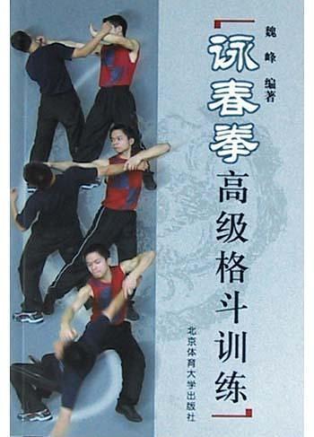 詠春拳高级格斗训练