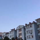 天天有你