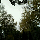 uu15800918