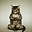 猫伸展的喵
