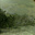 uu16336906