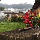 uu16383824
