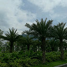uu16391232