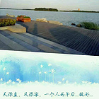 uu17164254