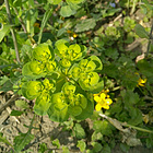 uu17296046