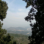 uu17298607