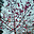 uu17603704