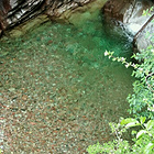 uu17667461