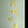 uu17676461
