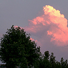uu18165075