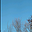 uu19663075