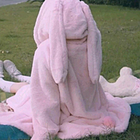 uu19935523