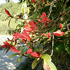 uu20112868