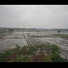 uu20550286
