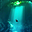 uu20657277