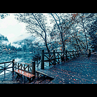 uu20729850