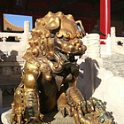 uu20901129