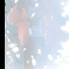 uu20686313