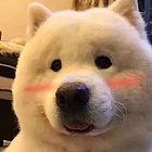 扎个小揪揪