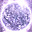 uu21700204