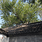 uu22097743