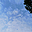 uu22427834