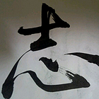 uu22472545