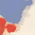 爱书的女孩运气不会太差