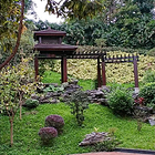 uu22516709