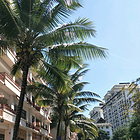 uu23305971