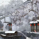 uu23429098
