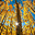 uu23490970