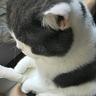 uu23516519