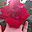 uu23573293
