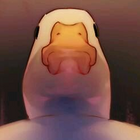 uu23579730