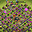 uu23606987