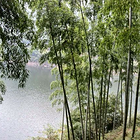 uu23657689