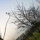 uu23927680