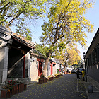uu24663745