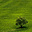 uu25736484