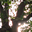 uu26770876