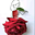 uu26846299