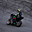 uu26852488