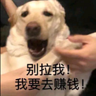 小仙书阁