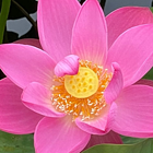 带着信仰去远方