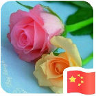 青春如歌