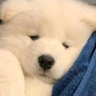 欣
